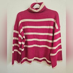 Euc Vici Turtle Neck Sweater